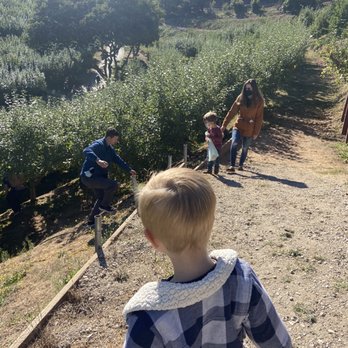 Clearview Orchards - Steep hills ! Be careful if you have littles - Farmers Market Near Me - Watsonville, California
