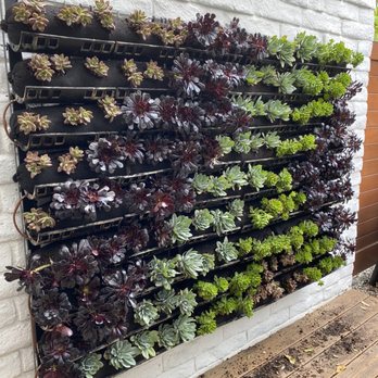 Elevation Living Walls - Landscape Architects or Designers Near Me Elevation Living Walls - Landscape Architects or Designers Near Me