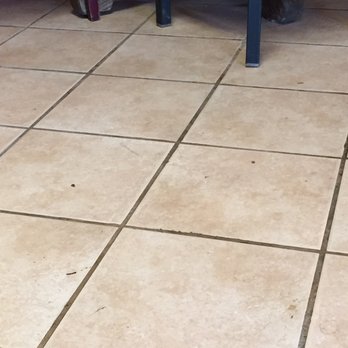 Old West Steakhouse - a cat under a table - New American Near Me - Mckenzie, Tennessee