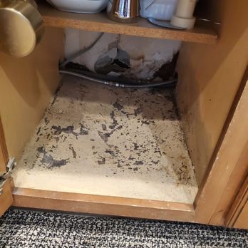 OC Water Fire Spore - Damage Restoration Near Me