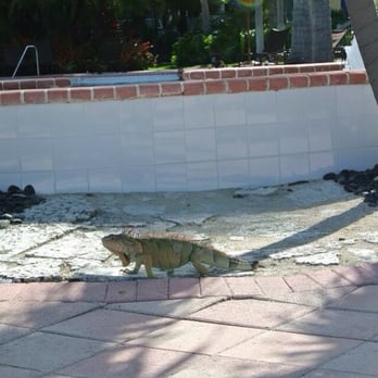 Hawks Cay Resort - Resorts Near Me - Duck Key, Florida Hawks Cay Resort - Resorts Near Me - Duck Key, Florida