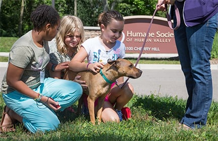 HUMANE SOCIETY OF HURON VALLEY - Updated October 2025 - 30 Photos & 110 ...
