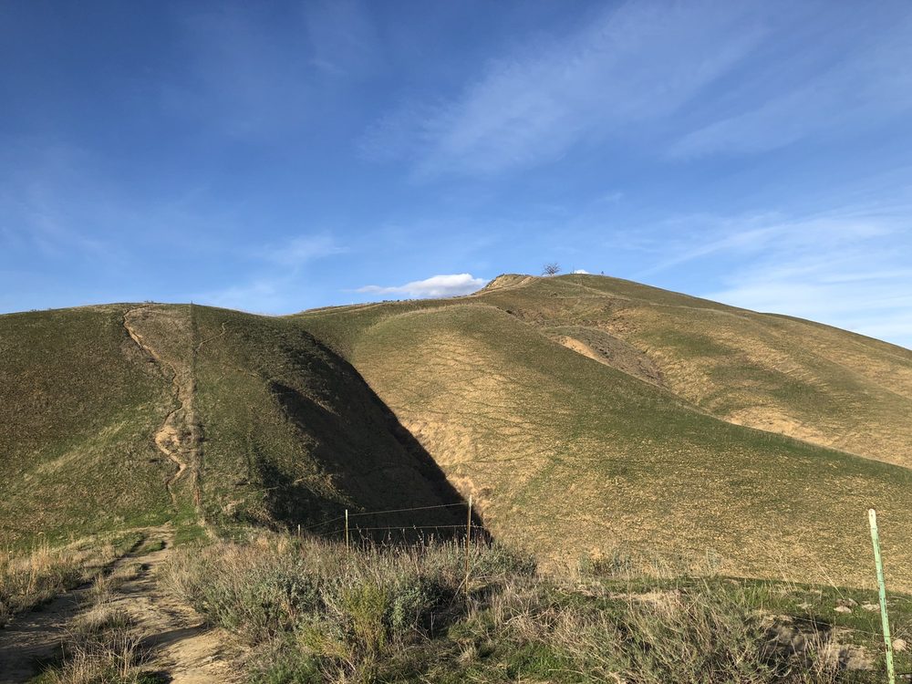 TWO TREES Updated October 2024 16 Photos & 13 Reviews Ventura, California Hiking Yelp