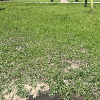 Grass Force - Lawn Services Near Me - Thomasville, Georgia