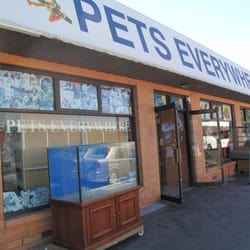 Pets Everywhere