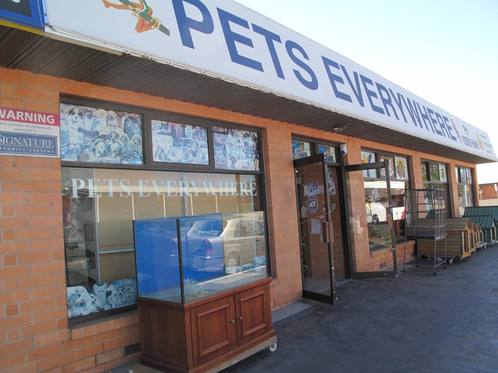 PETS EVERYWHERE Updated September 2024 432 Prospect Rd, Kilburn