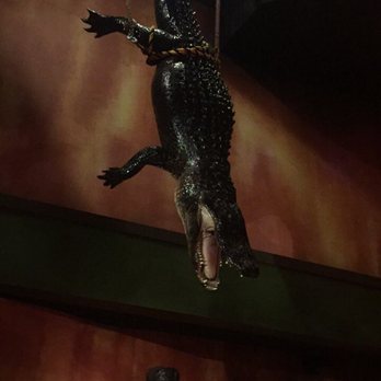 Ripley's Believe It or Not! - Museums Near Me - San Antonio, Texas
