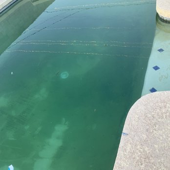 American Pools - Pool & Hot Tub Service Near Me American Pools - Pool & Hot Tub Service Near Me