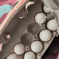 Target - Someone took two eggs.