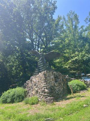 Carolina Raptor Center by null