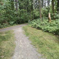 Covington Community Park - Lush wooded trails
