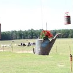 We're on a working farm on 40 acres with green pastures and moss filled oaks. The barn is 2400 sq. feet of celebration space
