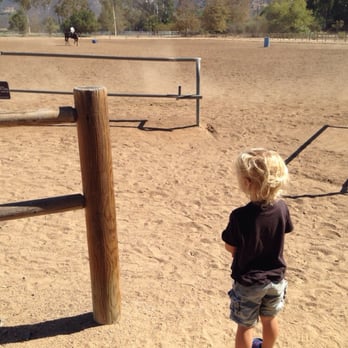 Walnut Grove Park - Checking out he horses at the park - Parks Near Me - San Marcos, California Walnut Grove Park - Checking out he horses at the park - Parks Near Me - San Marcos, California