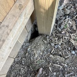 Phoenix Fence & Deck