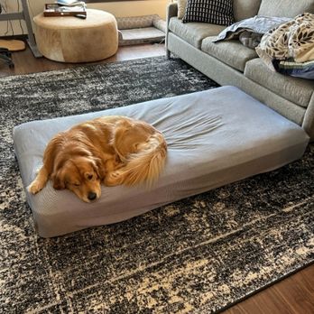 Drymaster Carpet Cleaning - Carpet Cleaning Near Me - Meridian, Idaho Drymaster Carpet Cleaning - Carpet Cleaning Near Me - Meridian, Idaho