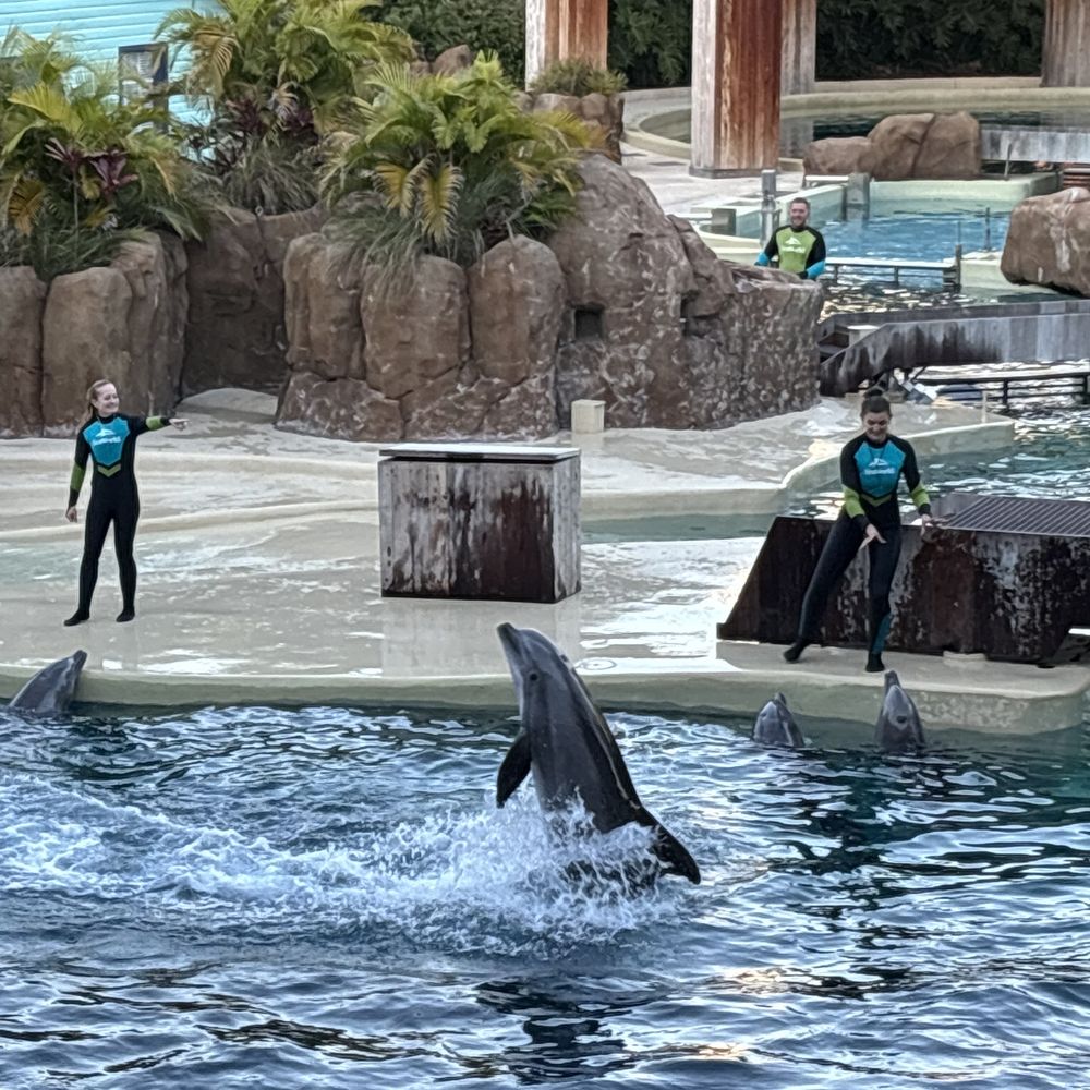 Dolphin Theater - Stadiums & Arenas Near Me - Orlando, Florida Dolphin Theater - Stadiums & Arenas Near Me - Orlando, Florida