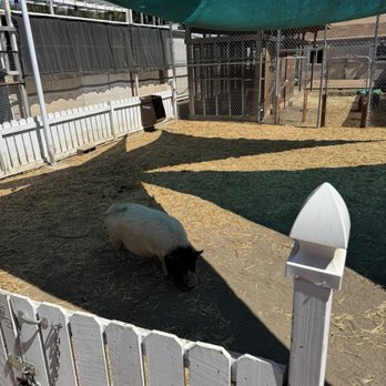 Little Parrot Farm - hey there buddy! - Farms Near Me - Rowland Heights, California Little Parrot Farm - hey there buddy! - Farms Near Me - Rowland Heights, California