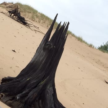 Mac Wood's Dune Rides - The cyclops tree stump - Tours Near Me - Mears, Michigan Mac Wood's Dune Rides - The cyclops tree stump - Tours Near Me - Mears, Michigan