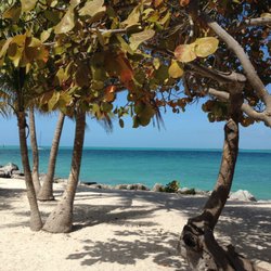 Cloud Nine Travel - Key West, Florida