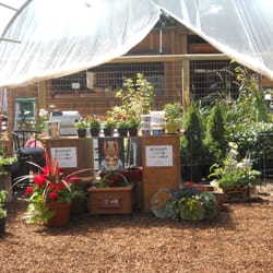 C&C Nursery and Landscape Maintenance
