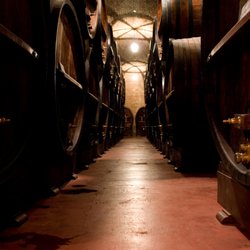 Endless Turns Ski & Adventure Travel - Wineries abound in Santiago, Chile