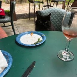 Had a visitor at our table outside! Everything was great! Service, wine and food will be back!
