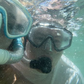 The Pineapple Exp - Snorkeling in turtle bay - Bus Tours Near Me