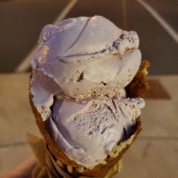 Blueberry port in a waffle cone
