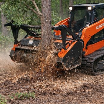 Lights Land Management - Excavation Services Near Me - Evington, Virginia Lights Land Management - Excavation Services Near Me - Evington, Virginia