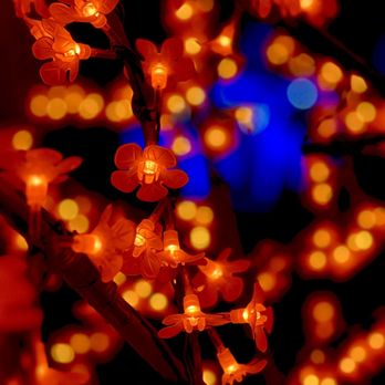Winterlights at Newfields - Lights - Festivals Near Me - Indianapolis, Indiana