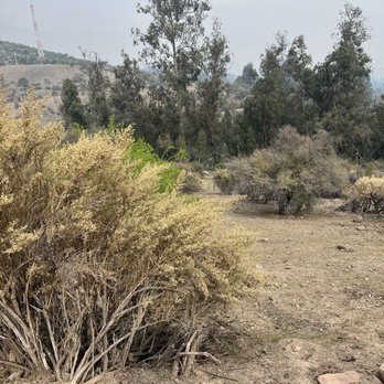 Parque Natural Aguas de Ramon - Mountainside terrain - Hiking Near Me - Santiago, RM