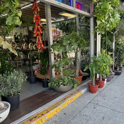 KimThai Garden