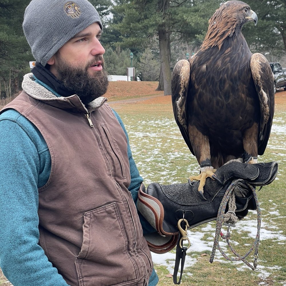 The Falconry Experience - Patrick and Golden Eagle - Active Life Near Me - Hershey, Pennsylvania The Falconry Experience - Patrick and Golden Eagle - Active Life Near Me - Hershey, Pennsylvania