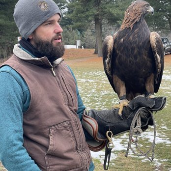 The Falconry Experience - Patrick and Golden Eagle - Active Life Near Me - Hershey, Pennsylvania