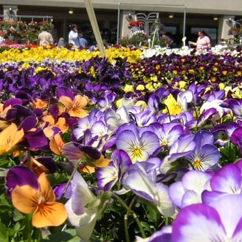 Farmers Market - now that's a pretty picture. My backyard should look like that - Fruits & Veggies Near Me - Clinton Township, Michigan Farmers Market - now that's a pretty picture. My backyard should look like that - Fruits & Veggies Near Me - Clinton Township, Michigan