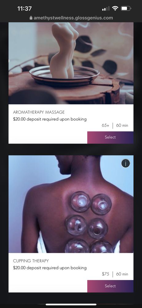 Amethyst Wellness Spa Logo
