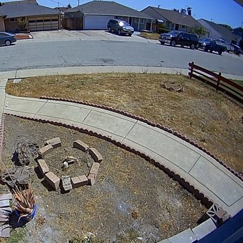 Angel's Landscaping - Before Rafael and team got to our lawn....dead weeds and dated style - Landscaping Near Me