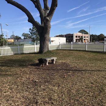 Southern Oaks Inn - Pet area - Hotels Near Me - St. Augustine, Florida Southern Oaks Inn - Pet area - Hotels Near Me - St. Augustine, Florida