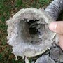 Photo of Delaware Dryer Vents