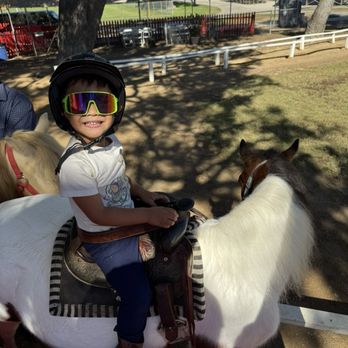 Montebello Barnyard Zoo - Pony rides - Petting Zoos Near Me - Montebello, California Montebello Barnyard Zoo - Pony rides - Petting Zoos Near Me - Montebello, California