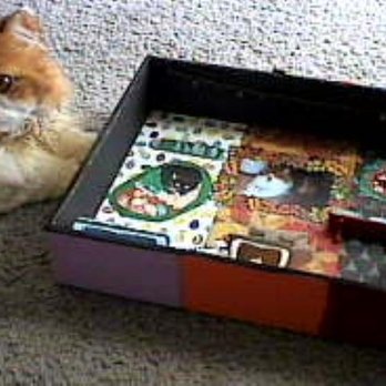 Auntie Em's Miniatures - My kitty "Rudy" watching the hot glue dry & cure inside/outside my holiday-themed shadow box that I decorated from scratch ;) - Antiques Near Me - Glendale, Arizona Auntie Em's Miniatures - My kitty "Rudy" watching the hot glue dry & cure inside/outside my holiday-themed shadow box that I decorated from scratch ;) - Antiques Near Me - Glendale, Arizona