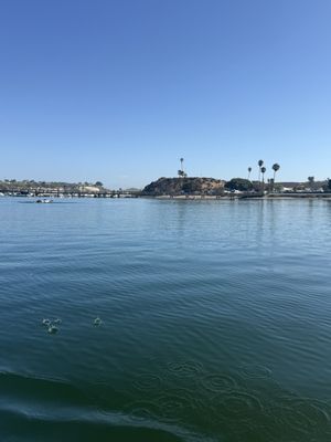 Pirate Coast Paddle Co by null