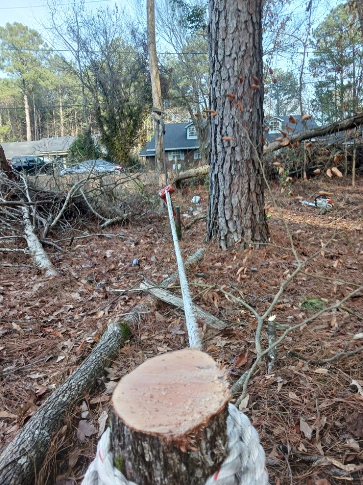 SMITH KINGDOM CLEARING West Monroe, Louisiana Tree Services Phone