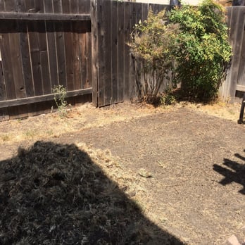 Ochos Landscaping - This is what I did myself in under 90 minutes. After working a half day in San Francisco I came home and cleaned Ocho's landscaping mess. - Irrigation Near Me Ochos Landscaping - This is what I did myself in under 90 minutes. After working a half day in San Francisco I came home and cleaned Ocho's landscaping mess. - Irrigation Near Me