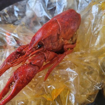 Tasty Tails - Seafood Near Me - Dallas, Texas