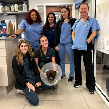 MedVet Jupiter - Veterinarians Near Me - Jupiter, Florida MedVet Jupiter - Veterinarians Near Me - Jupiter, Florida