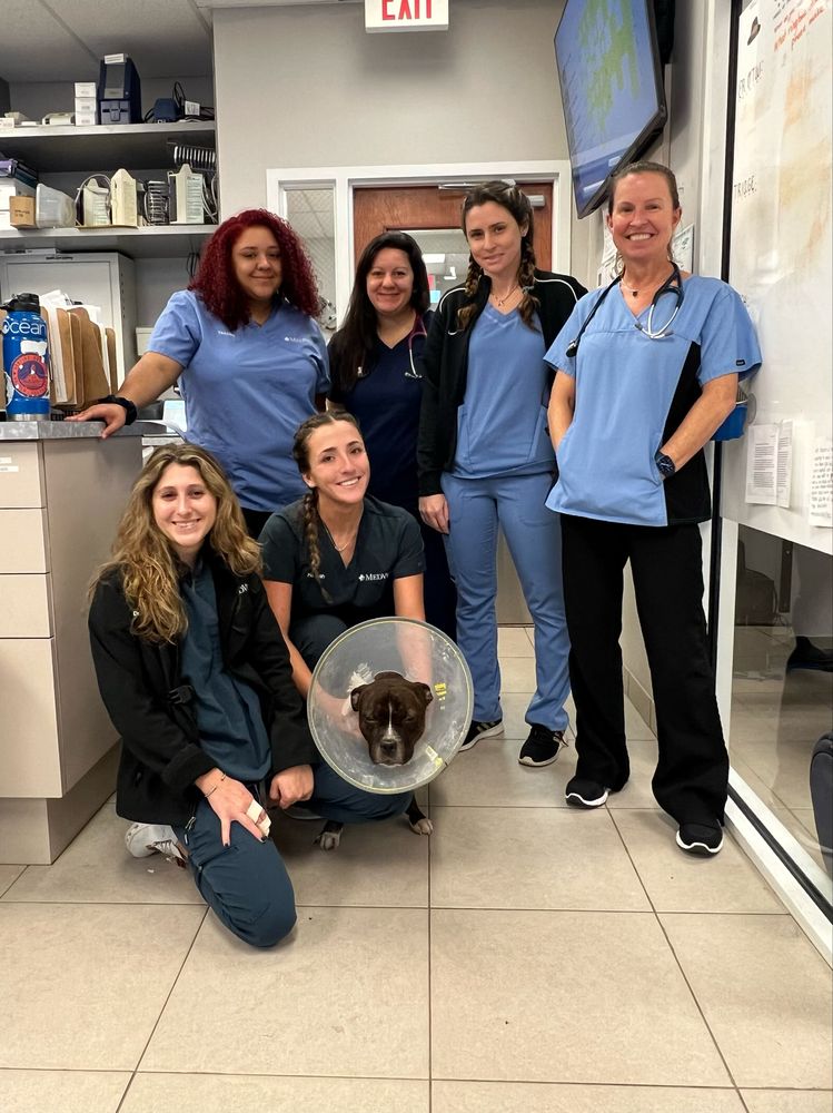 MEDVET JUPITER 44 Photos & 44 Reviews 505 Commerce Way, Jupiter