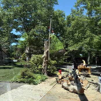 Kemp Tree Services - Tree Services Near Me - Sellersville, Pennsylvania Kemp Tree Services - Tree Services Near Me - Sellersville, Pennsylvania