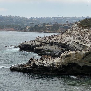 La Jolla Cove - Parks Near Me - La Jolla, California La Jolla Cove - Parks Near Me - La Jolla, California