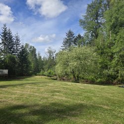Angeles Landscape - Landscape cleanup & brush removal